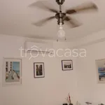 Rent 3 bedroom apartment of 60 m² in Gizzeria Lido