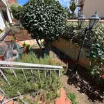 Rent 2 bedroom apartment of 50 m² in Roma