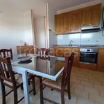 Rent 4 bedroom apartment of 95 m² in Padova