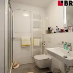 Rent 1 bedroom apartment of 47 m² in Brno