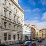 Pronajměte si 1 ložnic/e byt o rozloze 43 m² v Prague