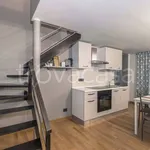 Rent 2 bedroom apartment of 50 m² in Torino