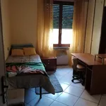 Rent 3 bedroom apartment in Pisa