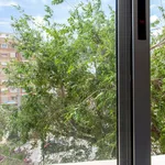 Alquilar 4 dormitorio apartamento en Valencia