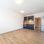 Rent 1 bedroom apartment of 29 m² in Capital City of Prague