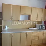 Rent 1 bedroom apartment of 25 m² in Capital City of Prague