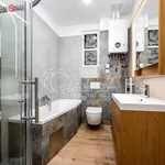 Rent 5 bedroom apartment of 140 m² in Praha