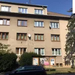 Rent 3 bedroom apartment of 62 m² in Jihlava