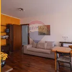 3-room flat via Gorizia 13, Santissimi Apostoli, Busto Arsizio