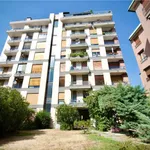 Rent 1 bedroom apartment of 42 m² in Monza