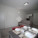 Rent 2 bedroom apartment of 55 m² in Monza