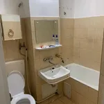 Rent 1 bedroom apartment in Lovnic