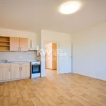 Rent 1 bedroom apartment of 32 m² in Prague