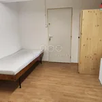 Rent 1 bedroom apartment of 16 m² in Frýdek-Místek