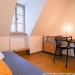 Miete 5 Schlafzimmer wohnung von 132 m² in Herdern