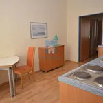 Rent 2 bedroom apartment of 53 m² in Pilsen