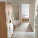 Rent 3 bedroom apartment of 90 m² in Roma