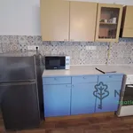 Rent 3 bedroom apartment of 81 m² in Debrecen