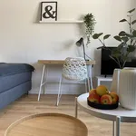 Rent 1 bedroom apartment of 33 m² in Cologne