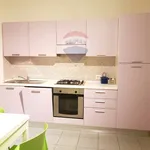 Rent 1 bedroom apartment of 36 m² in Ancona