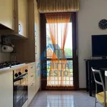 Rent 2 bedroom apartment of 50 m² in Florence