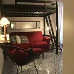 Rent 1 bedroom apartment of 30 m² in Roma