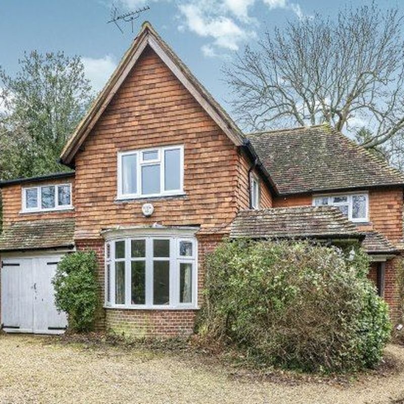 Detached house to rent in Church Lane Brook, Godalming GU8 Sandhills