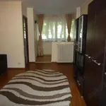 Rent 1 bedroom apartment of 33 m² in Bucharest