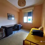 Rent 4 bedroom apartment of 16 m² in Messina