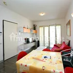 Rent 3 bedroom apartment of 60 m² in Pisa