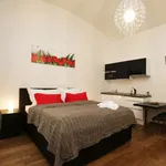 Studio o rozloze 40 m² v prague