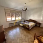 Rent 10 bedroom house of 300 m² in City of Zagreb