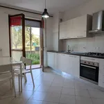 Rent 3 bedroom apartment of 72 m² in Chieti