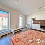 Rent 2 bedroom apartment of 31 m² in Brno