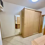 Rent 5 bedroom apartment in Vyškov