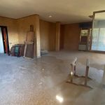 Affittasi Appartamento, ATTICI CON TERRAZZO - Annunci Velletri (Roma) - Rif.560559