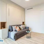 Rent 1 bedroom apartment of 28 m² in Milan