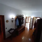 Rent 3 bedroom apartment of 125 m² in Perugia