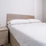 Rent 1 bedroom apartment in Bologna