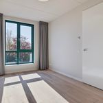 Huur 5 slaapkamer huis van 126 m² in Brabantpark