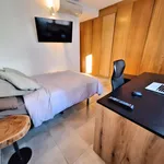 Rent 2 bedroom house in Madrid