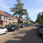 Rent 3 bedroom apartment in Margrietlaan