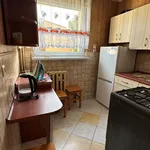 Rent 3 bedroom apartment of 47 m² in Zabrze