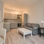 Rent 1 bedroom apartment in belfast