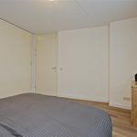 Huur 1 slaapkamer appartement van 90 m² in Arnhem