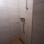 Rent 1 bedroom apartment in Blansko