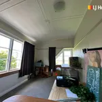 Rent 4 bedroom apartment in Dunedin