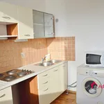 Rent 3 bedroom apartment of 45 m² in Ostrava