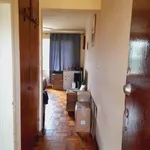 Rent 1 bedroom apartment in Port Elizabeth