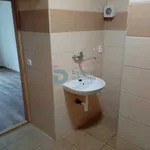 Rent 1 bedroom apartment in Olomouc